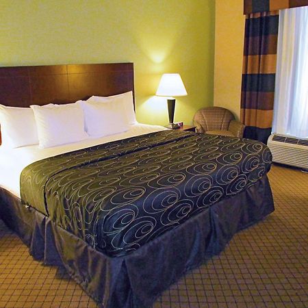 La Quinta By Wyndham Tampa Central Carrollwood Village Bagian luar foto